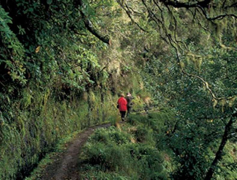 Dorisol Pousada Dos Vinhaticos Serra de Água 外观 照片